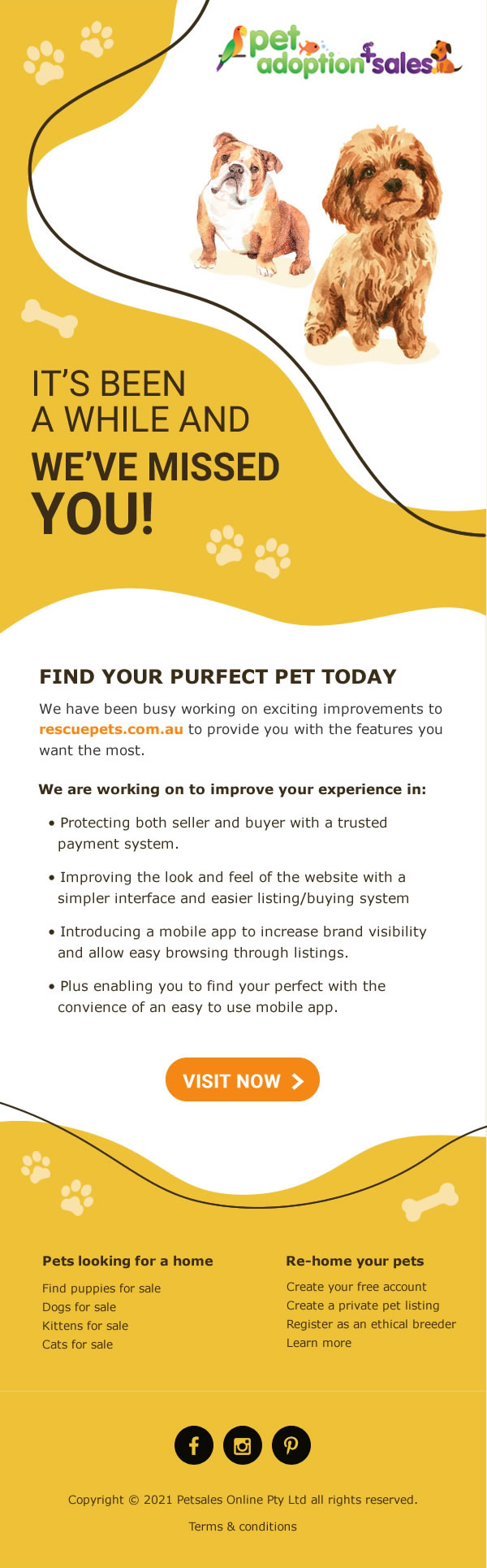 "SwiPet Mobile App Re-Engagement" MailChimp Template Design