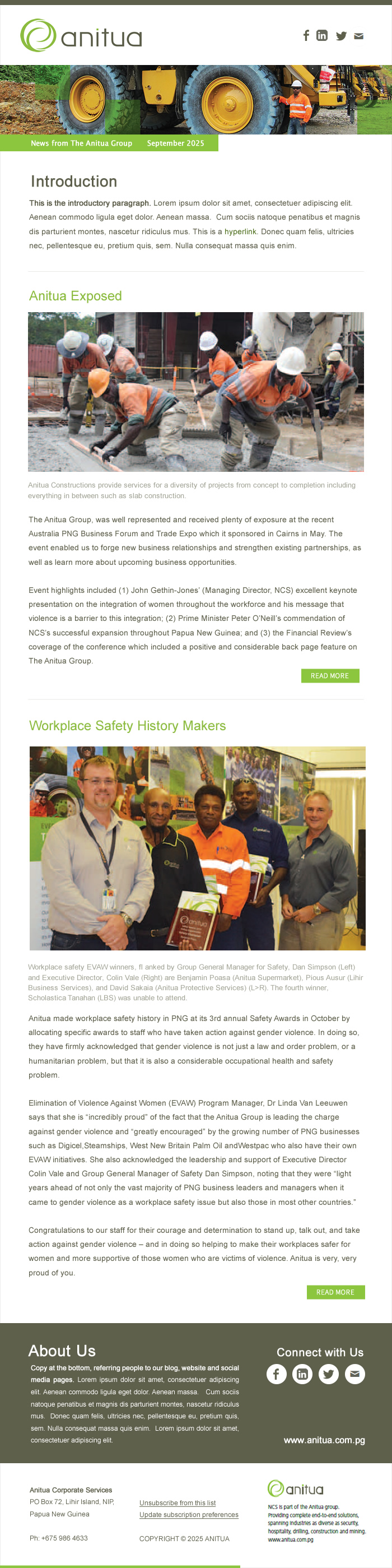 MailChimp Template design for "Anitua Newsletter"